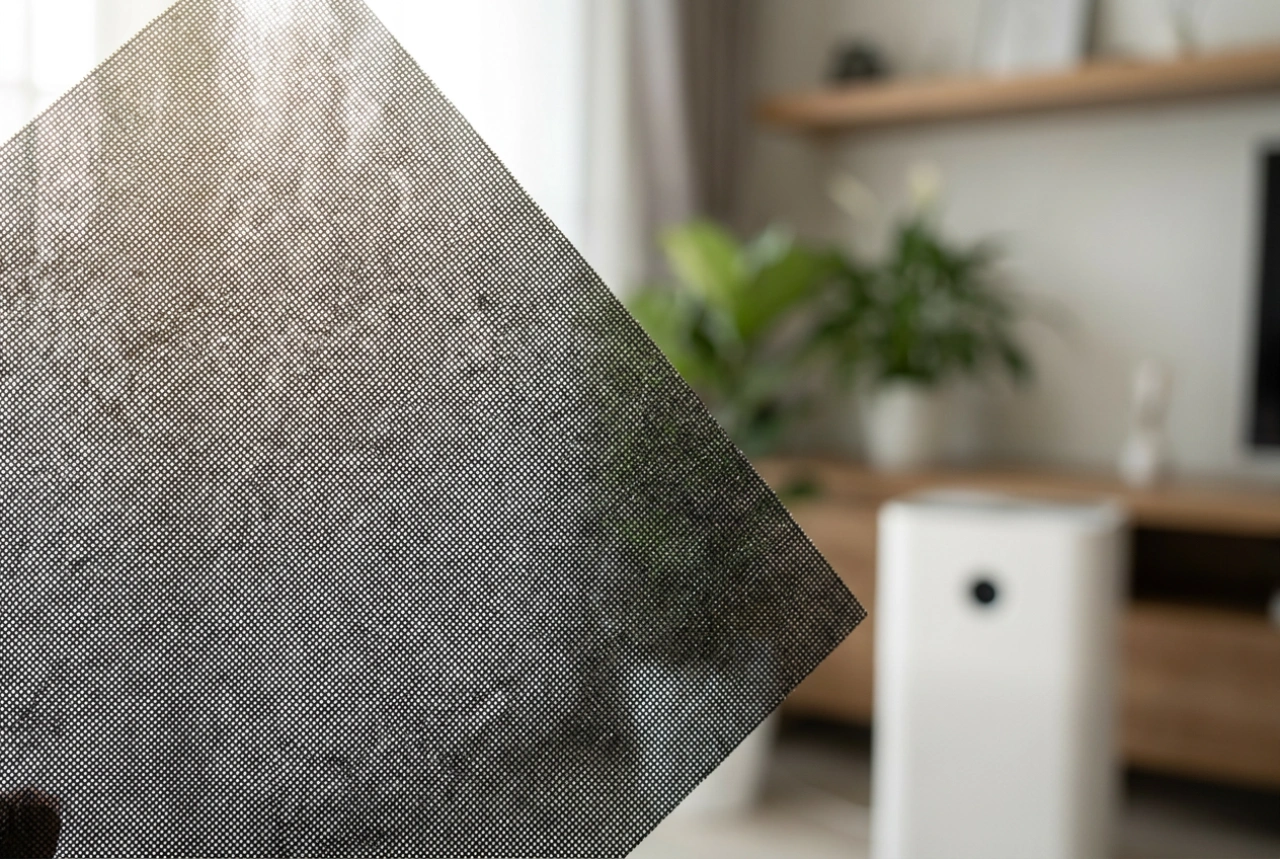 Ce elimină filtrul de carbon dintr-un purificator de aer